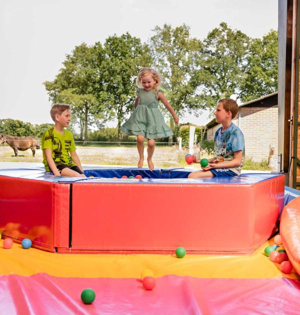 Hoofdfoto Charme Camping En Appartementen De Regge-vallei