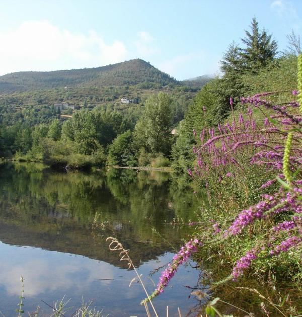 Hoofdfoto Camping Le Mas Du Serre