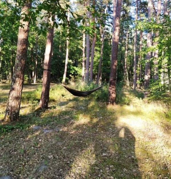 Hoofdfoto Camping Onlycamp Les Pins