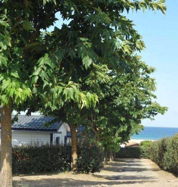 Hoofdfoto Camping Le Saint Martin