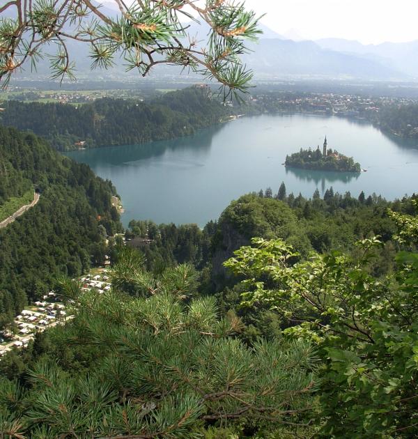 Hoofdfoto Camping Bled