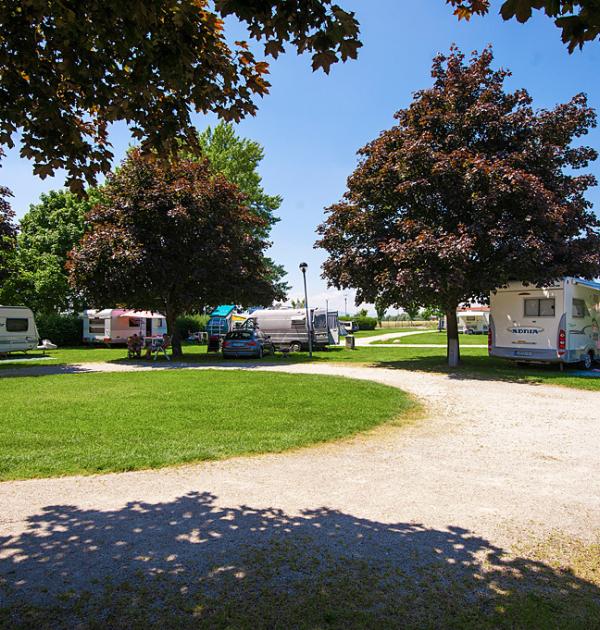 Hoofdfoto Camping Terme Ptuj