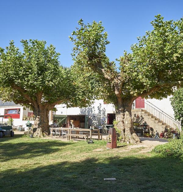 Hoofdfoto Camping Aux Rives Du Soleil
