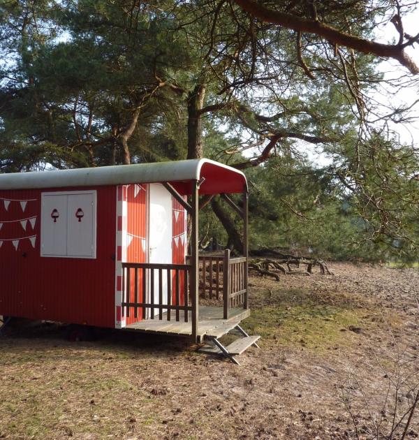 Hoofdfoto Bos Park Bilthoven