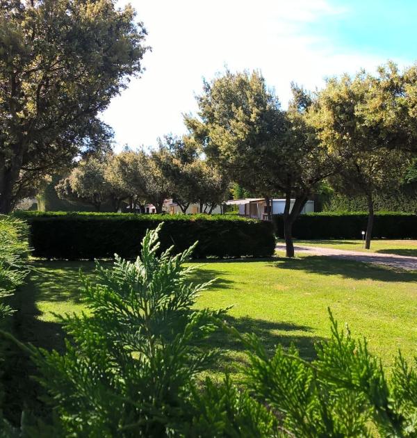 Hoofdfoto Camping Des Favards