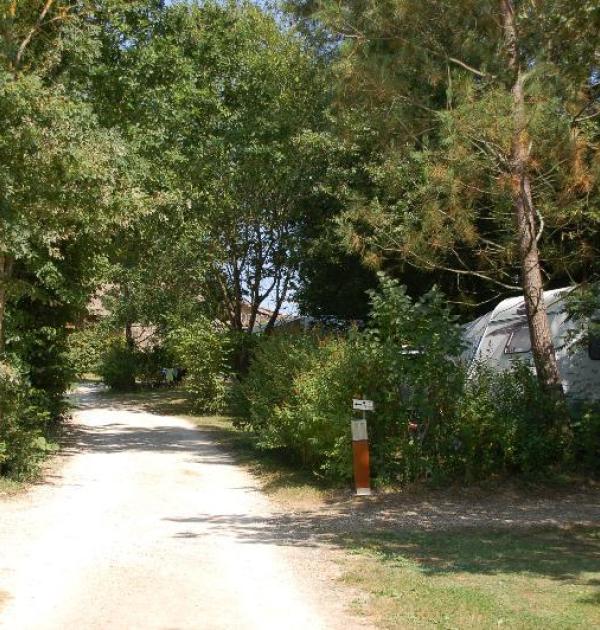 Hoofdfoto Camping De Bergougne