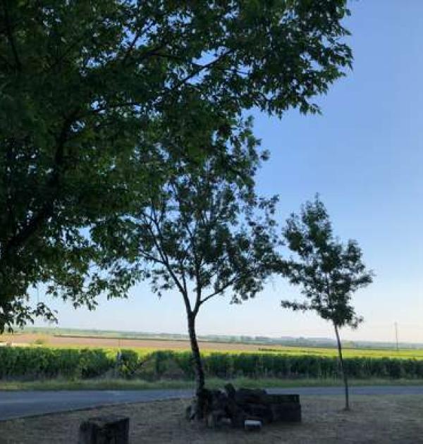 Hoofdfoto Domaine Goyon