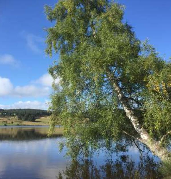 Hoofdfoto Lac du Moulinet