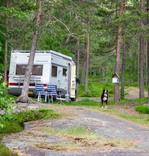 Hoofdfoto Sanden Såre Bubilpark og campingplass
