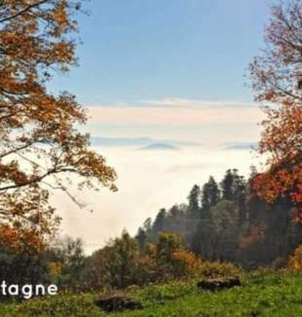 Hoofdfoto Aire camping carpark d'Andlau