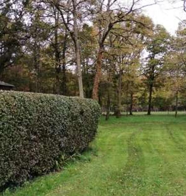 Hoofdfoto Aire camping-car park de Sepmes