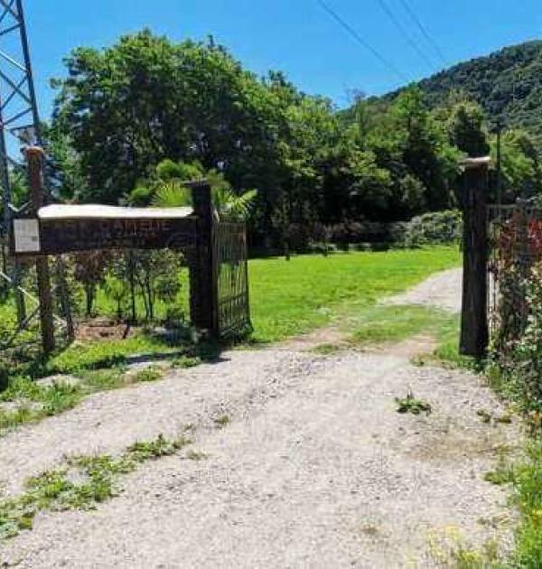 Hoofdfoto parcheggio delle camelie