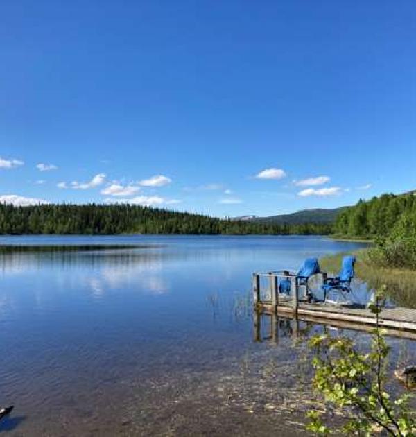 Hoofdfoto Storviken
