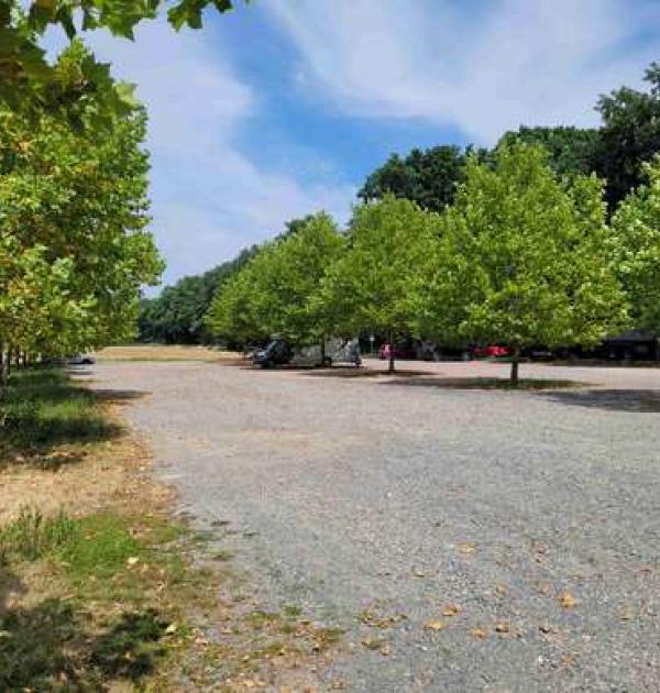 Hoofdfoto Sportplatz  SV Zellhausen