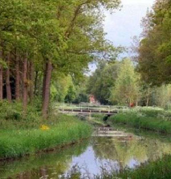 Hoofdfoto Camperplaatsen Branderveenweg