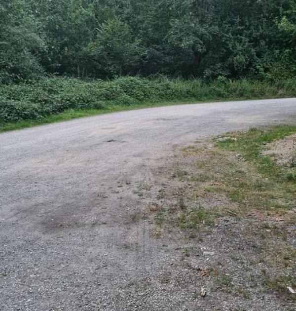 Hoofdfoto Parkplatz Königsdorfer Forst