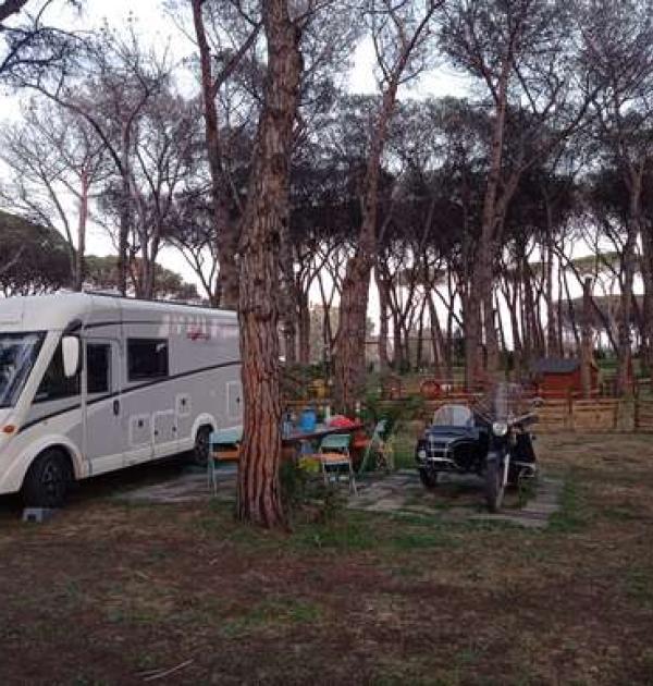 Hoofdfoto BoHo camp