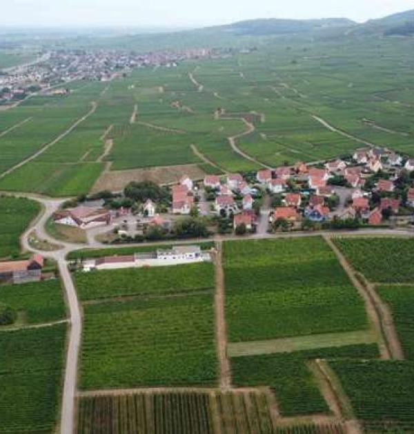 Hoofdfoto Domaine Gueth