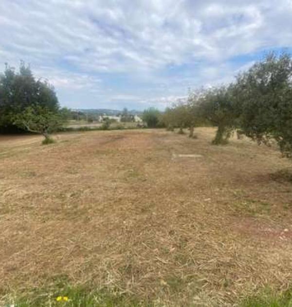 Hoofdfoto Villa Nirya