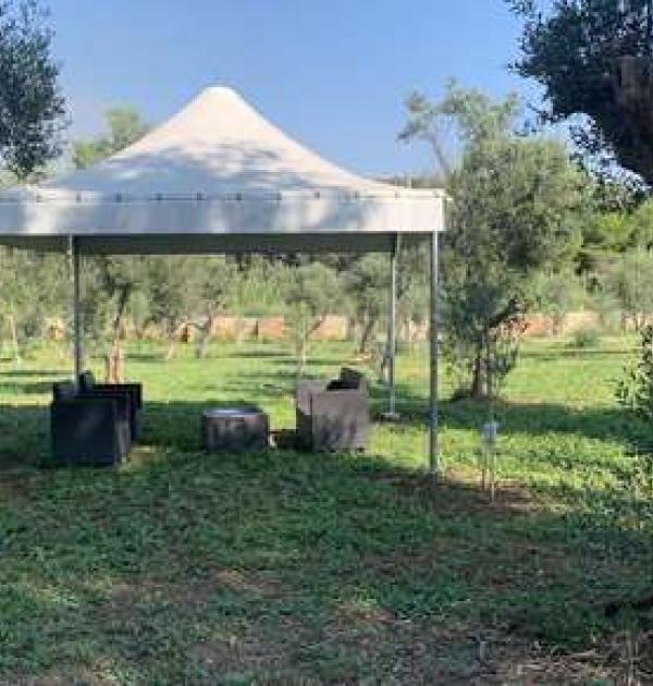 Hoofdfoto AgriCampeggio Tenuta Ferrario