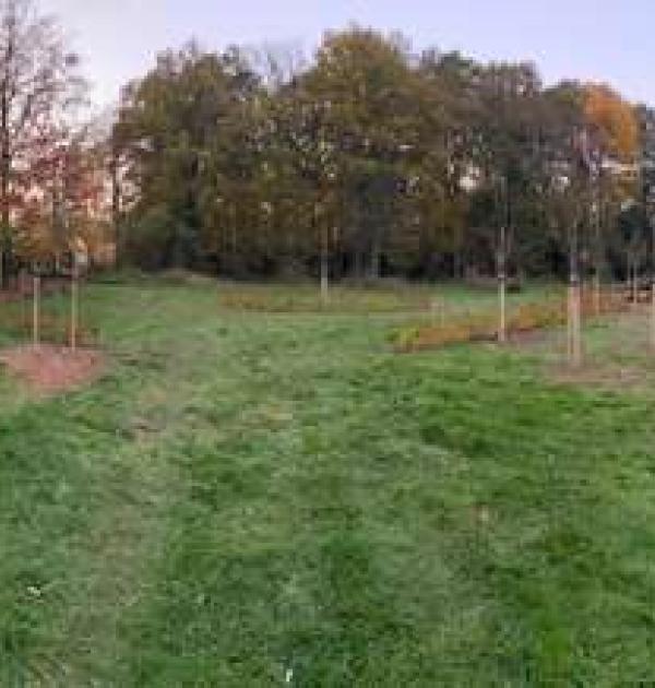Hoofdfoto Camperplaats De Bronkhorst