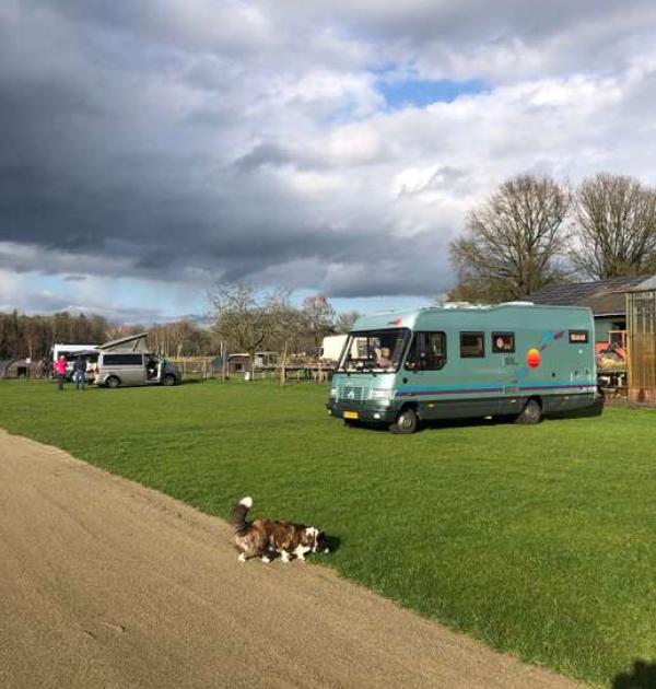 Hoofdfoto Camperplaats  Puur Berkshire