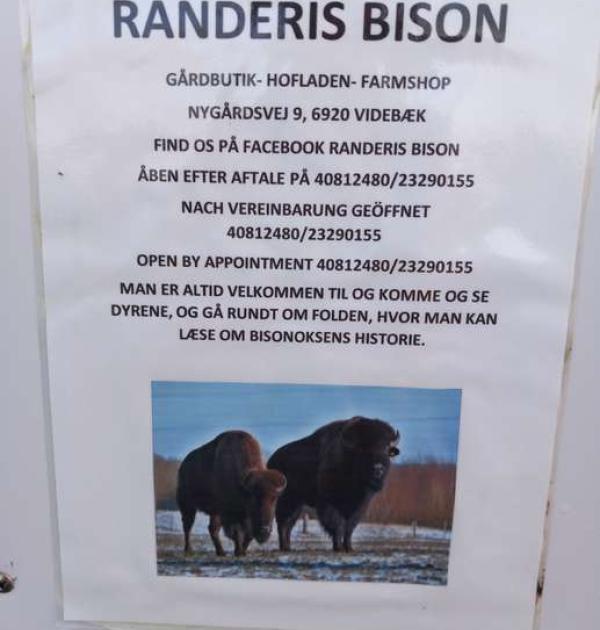 Hoofdfoto Randeris Bison