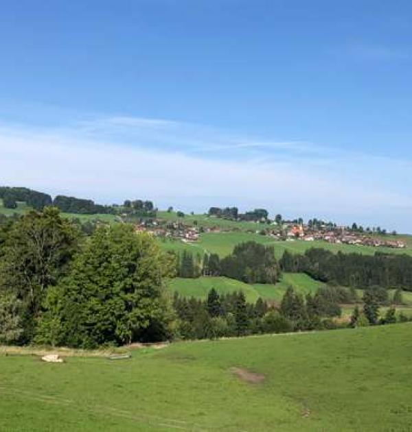 Hoofdfoto Beim Auer