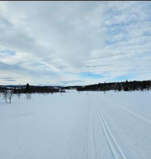 Hoofdfoto Lenningen Fjellstue