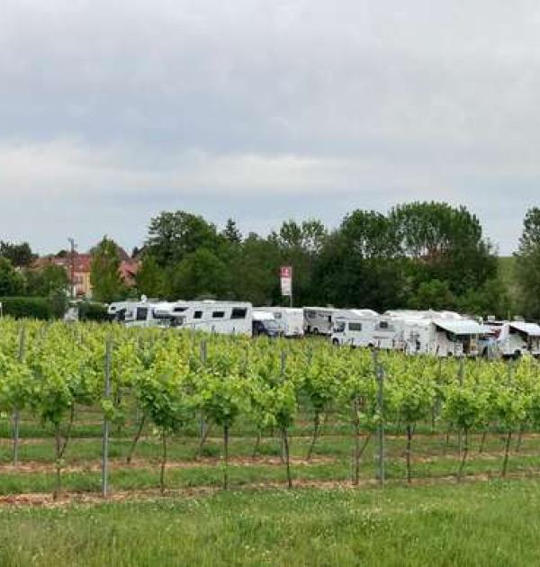 Hoofdfoto Weingut Junker