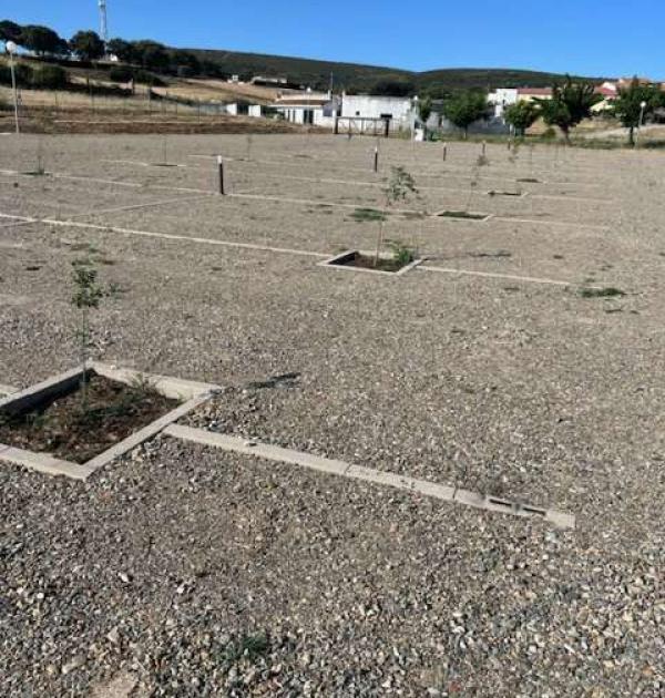 Hoofdfoto Área de servicio caravanas, autocaravanas y campers.