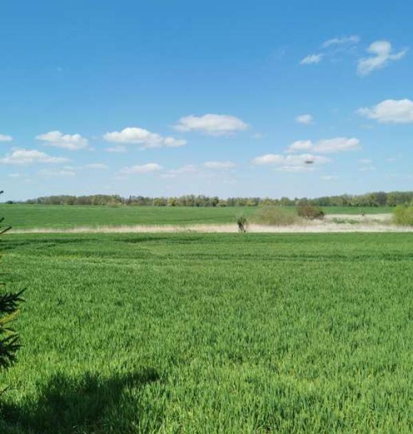 Hoofdfoto Stellplatz Behren-Lübchin