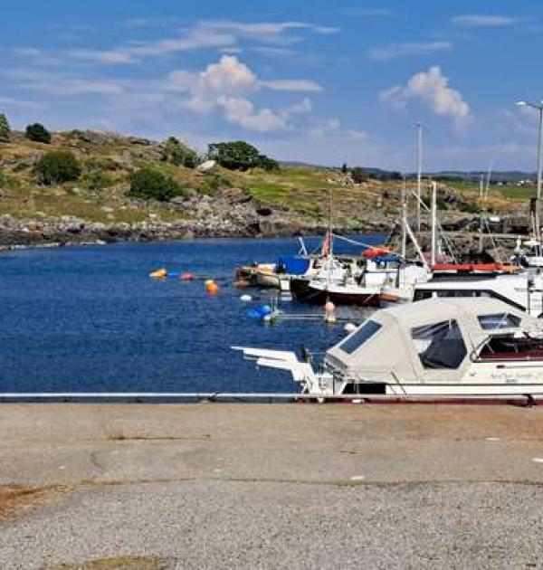 Hoofdfoto Monsterøy haven