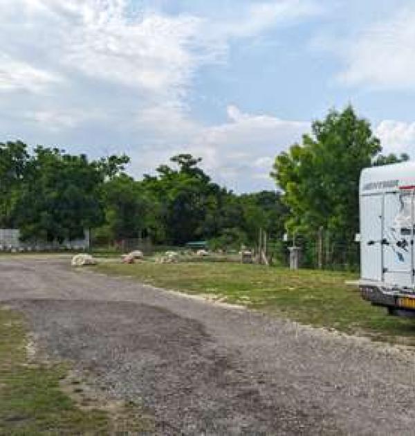 Hoofdfoto Vinařský camperplaats Lednice