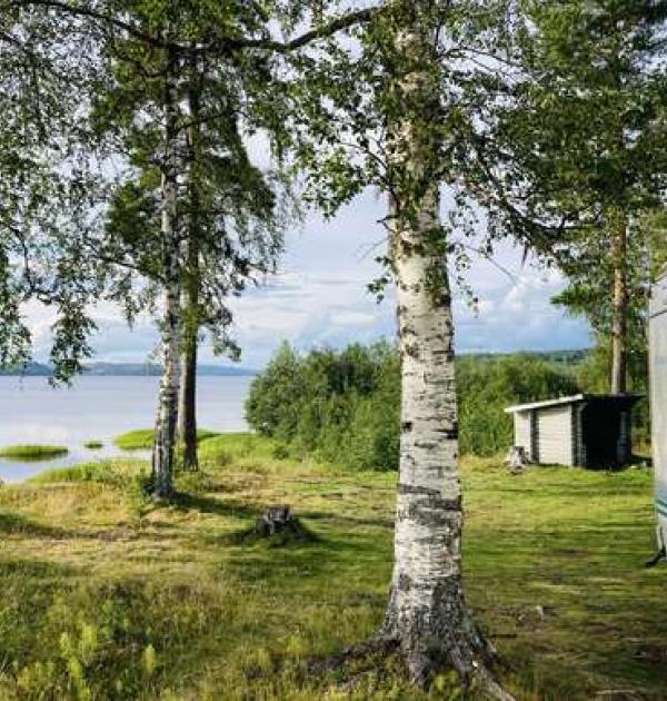 Hoofdfoto Betasjön rastplats