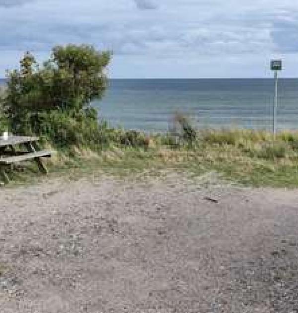 Hoofdfoto Stege strand