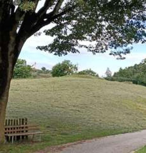 Hoofdfoto Stellplätze-Kastanienhain