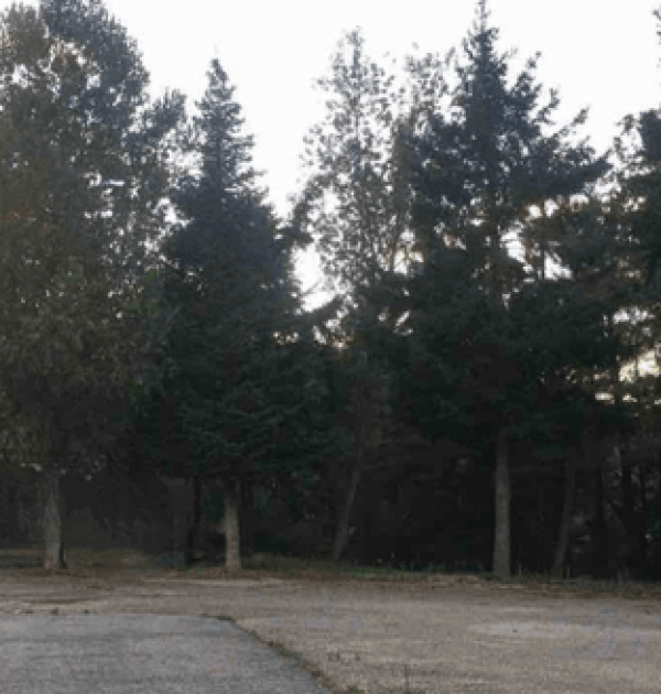 Hoofdfoto Area camper Frigento