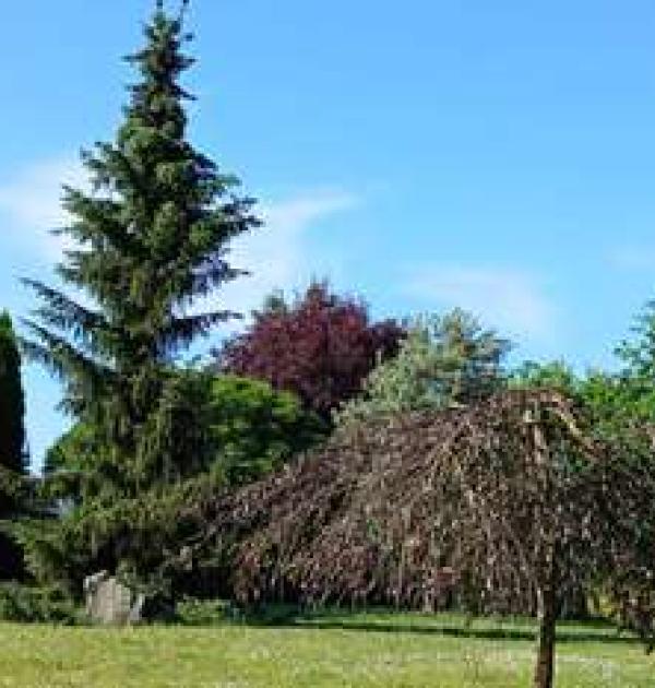 Hoofdfoto Hlivice