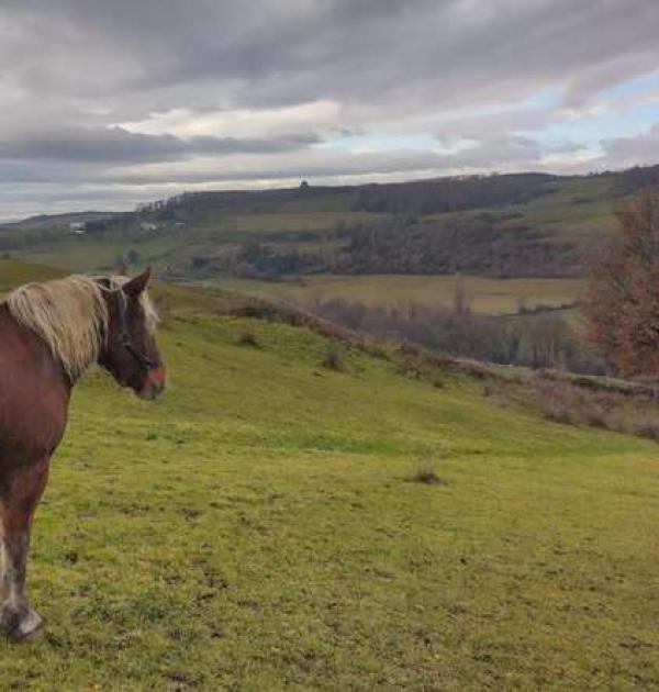 Hoofdfoto La ferme du sauze