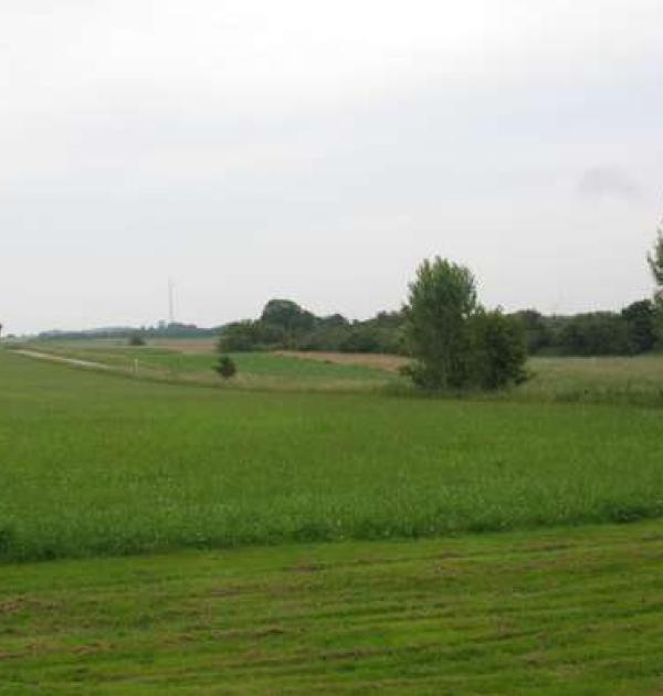 Hoofdfoto Else C. Weber