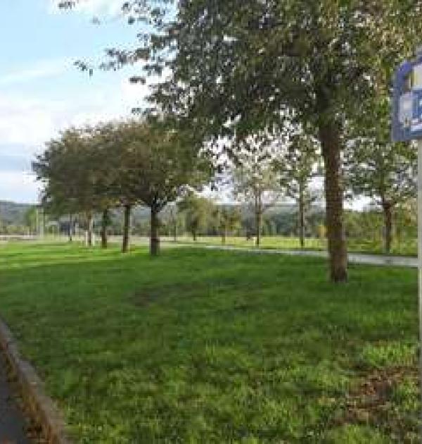 Hoofdfoto Parking