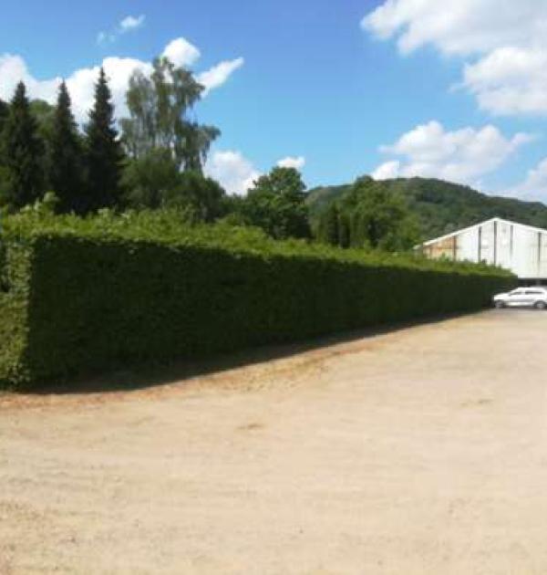Hoofdfoto Parking