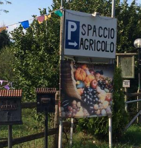 Hoofdfoto Azienda Agricola Ora Verde