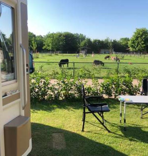 Hoofdfoto Camperplek de Maasheggen
