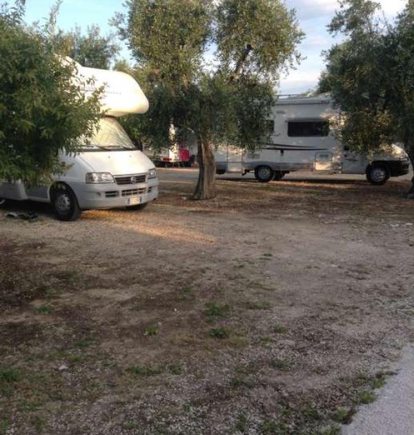 Hoofdfoto Agricampeggio Brezza tra gli Ulivi