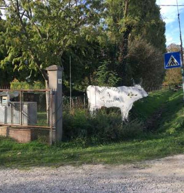 Hoofdfoto Area Fattoria La Rondine
