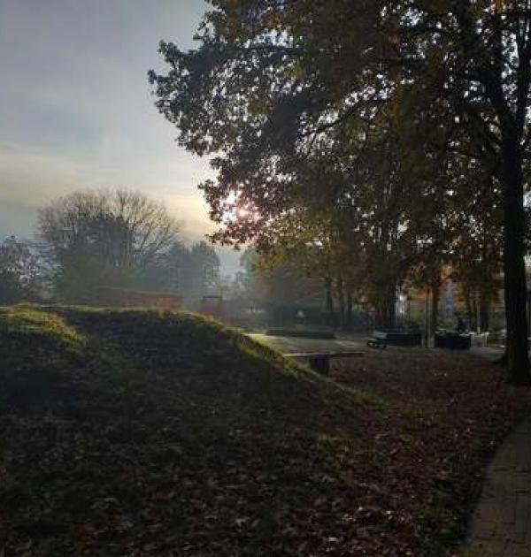 Hoofdfoto De Krieckaert