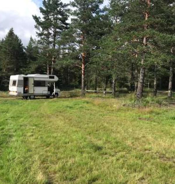 Hoofdfoto Pan Garden