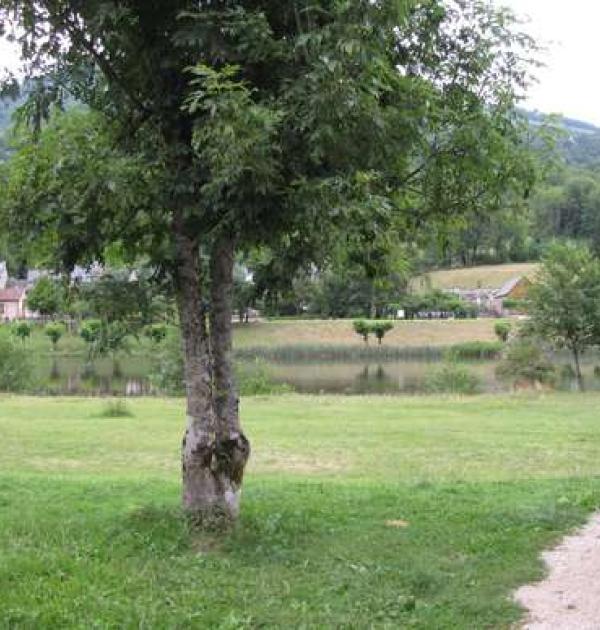 Hoofdfoto Aire de Camping-Car Village de Bonac-sur-Lez